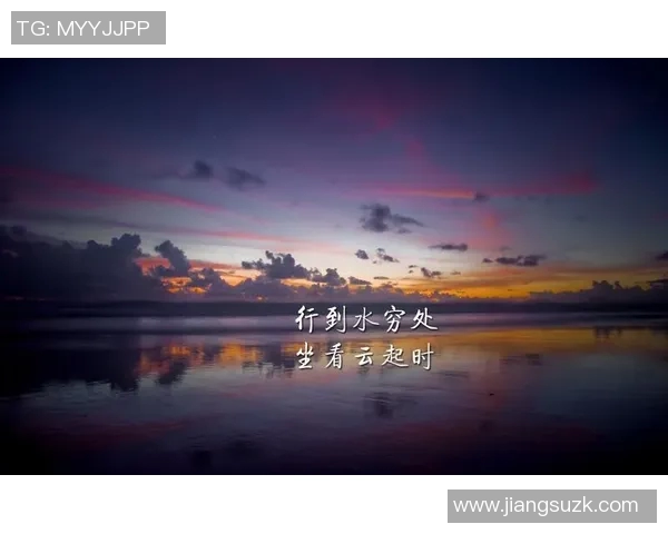 深度对话赵芳排球人生的奋斗与梦想探索之旅